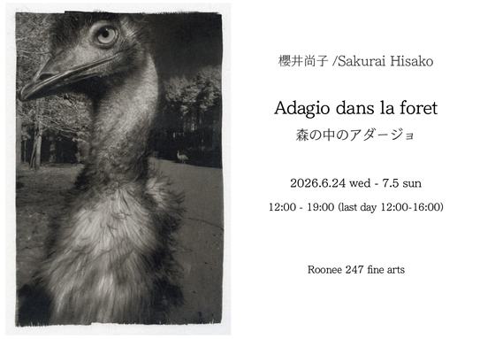 Adagio dans la forêt – In the Forest — 会場提供
