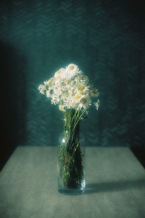 Nanano Photo Exhibition — courtesy of the venue