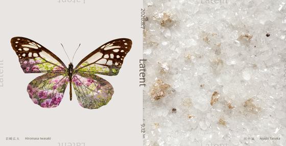 Latent — courtesy of the venue