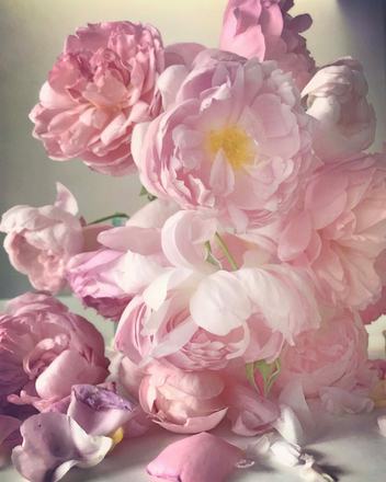 ROSES FOR TOKYO — courtesy of the venue