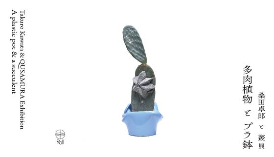 A plastic pot and a succulent — courtesy of the venue