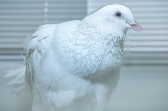White Knows Everything Ends — 会場提供
