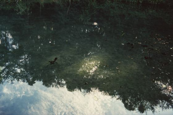 flowing back — 会場提供