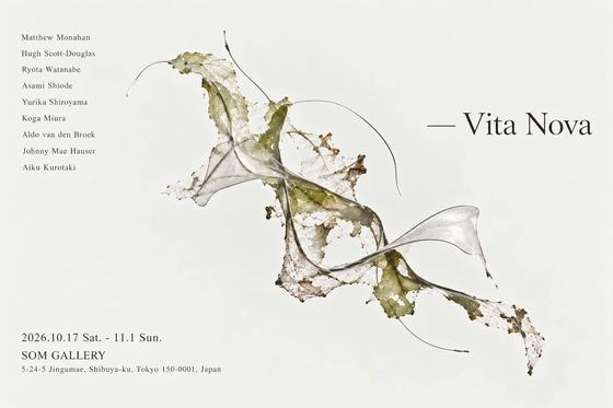 Vita Nova — courtesy of the venue