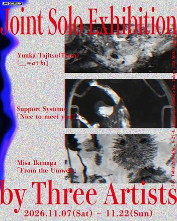Joint Solo Exhibition by Three Artists — 会場提供