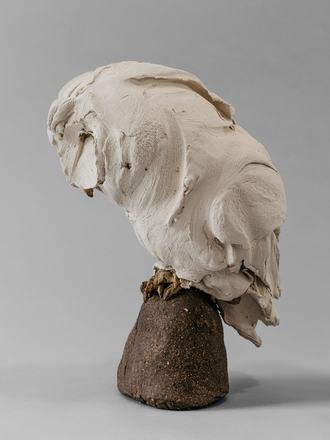 LIVING SOIL: Sacred Animal — courtesy of the venue