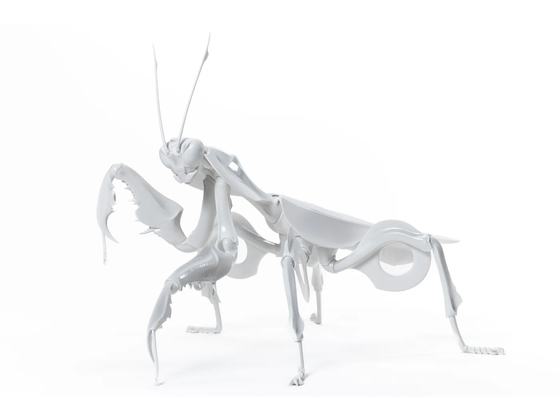 Insects in White Porcelain Exhibition — courtesy of the venue