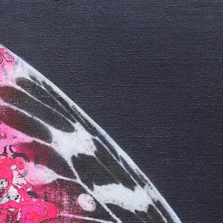 Cyborg Butterfly: Threshold — courtesy of the venue